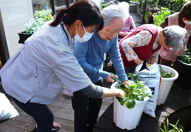 ジャガイモの成長は講師からのアドバイスに真剣に取り組まれた賜です🌱
