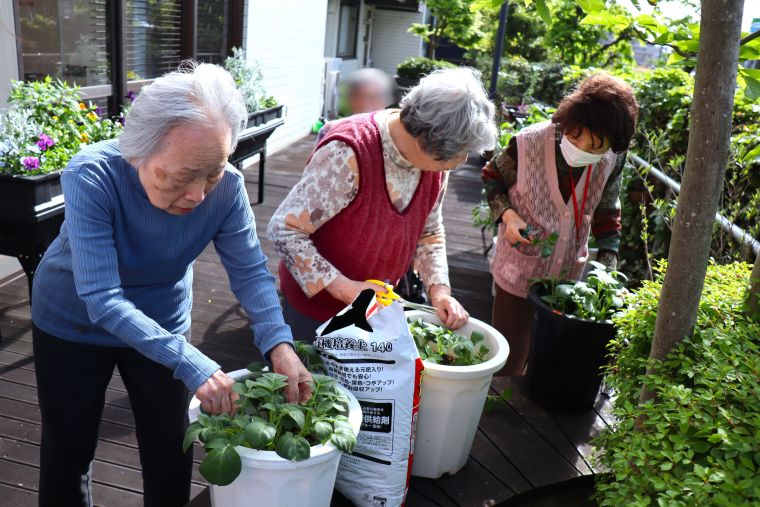 「こんなに葉っぱが大きくなってビックリしました」と益々精が出ます🌱