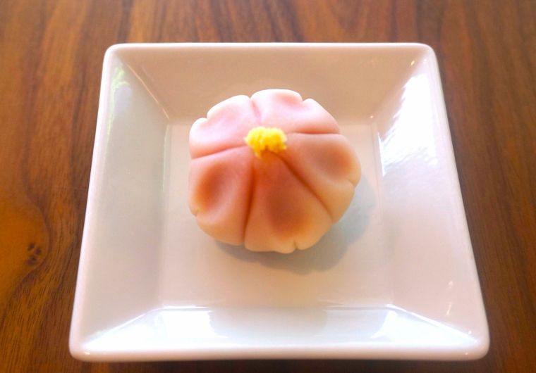 春爛漫♪