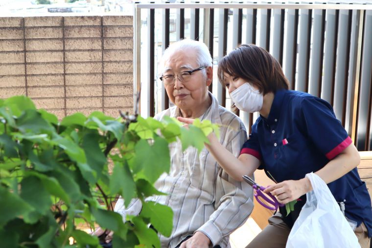 夏風感じるバルコニー