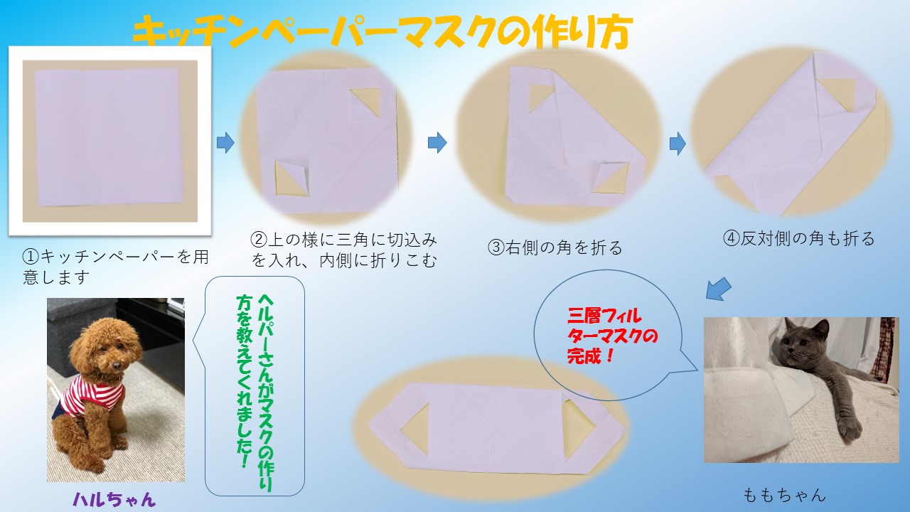 ペーパータオルを使ったマスクの作り方をご紹介します みずたま介護ステーション