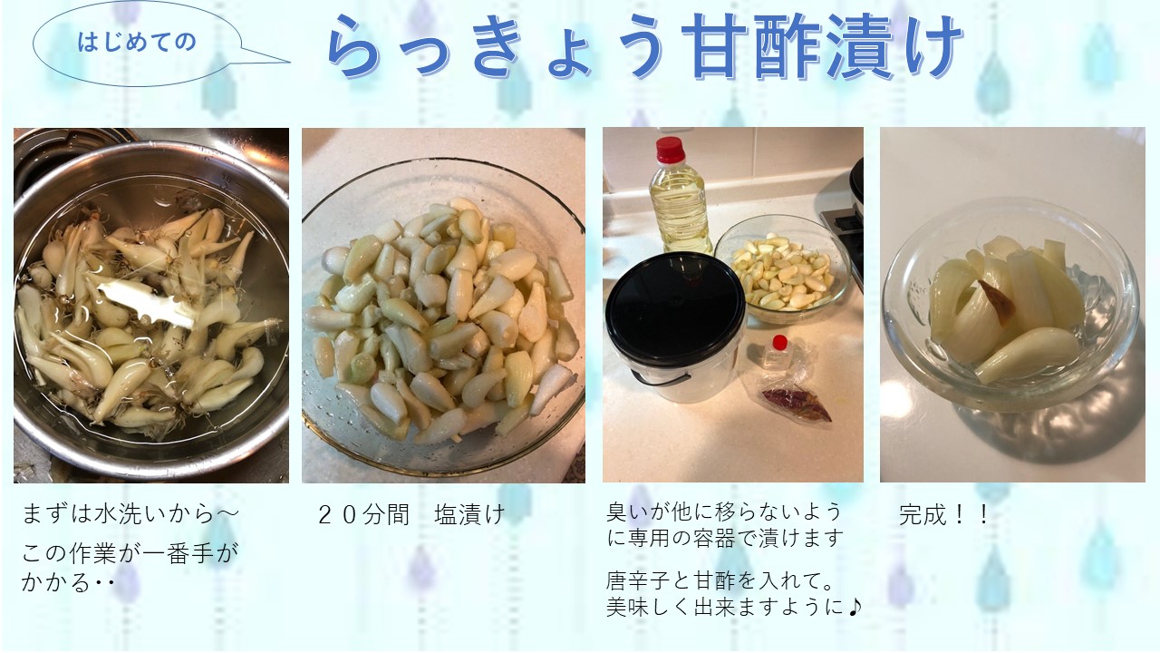 甘酢 レシピ らっきょう 漬け