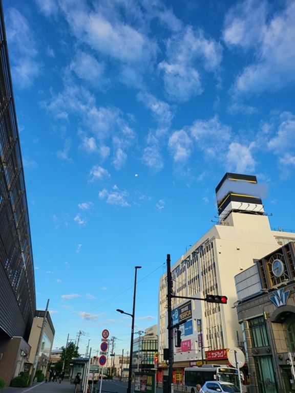 みずたま 滲水玉 にじみみずたま ／ いろはな 障子紙｜おしゃれなシール壁紙